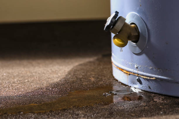 Best 24-hour water damage restoration  in Poplar Plains, CT