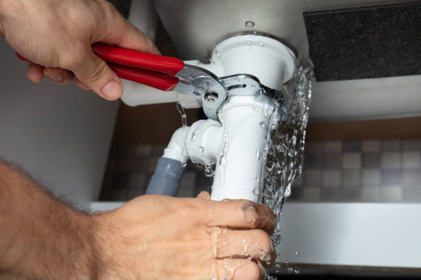 Best Water damage cleanup near me  in Poplar Plains, CT