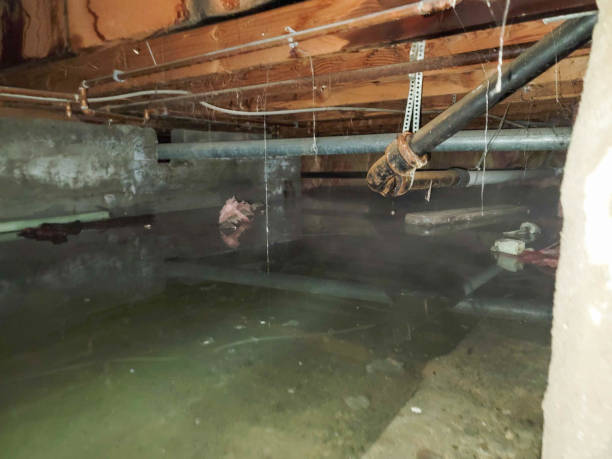 Best Water damage restoration near me  in Poplar Plains, CT