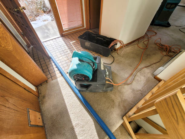 Best Water damage restoration insurance claims  in Poplar Plains, CT