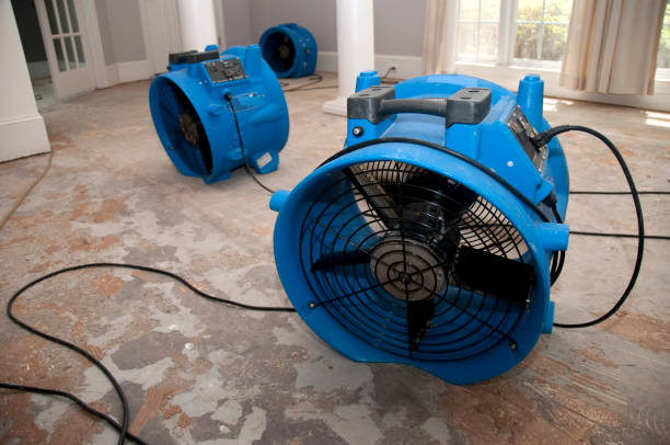 Best Flood damage cleanup  in Poplar Plains, CT