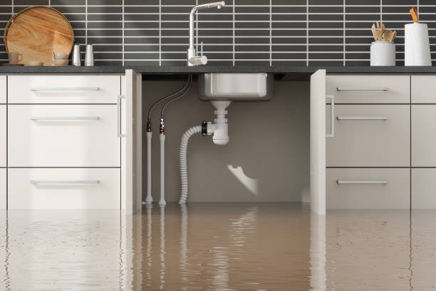 Best Flooded house restoration  in Poplar Plains, CT