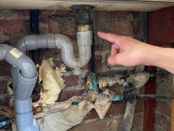 Best Professional water damage repair  in Poplar Plains, CT